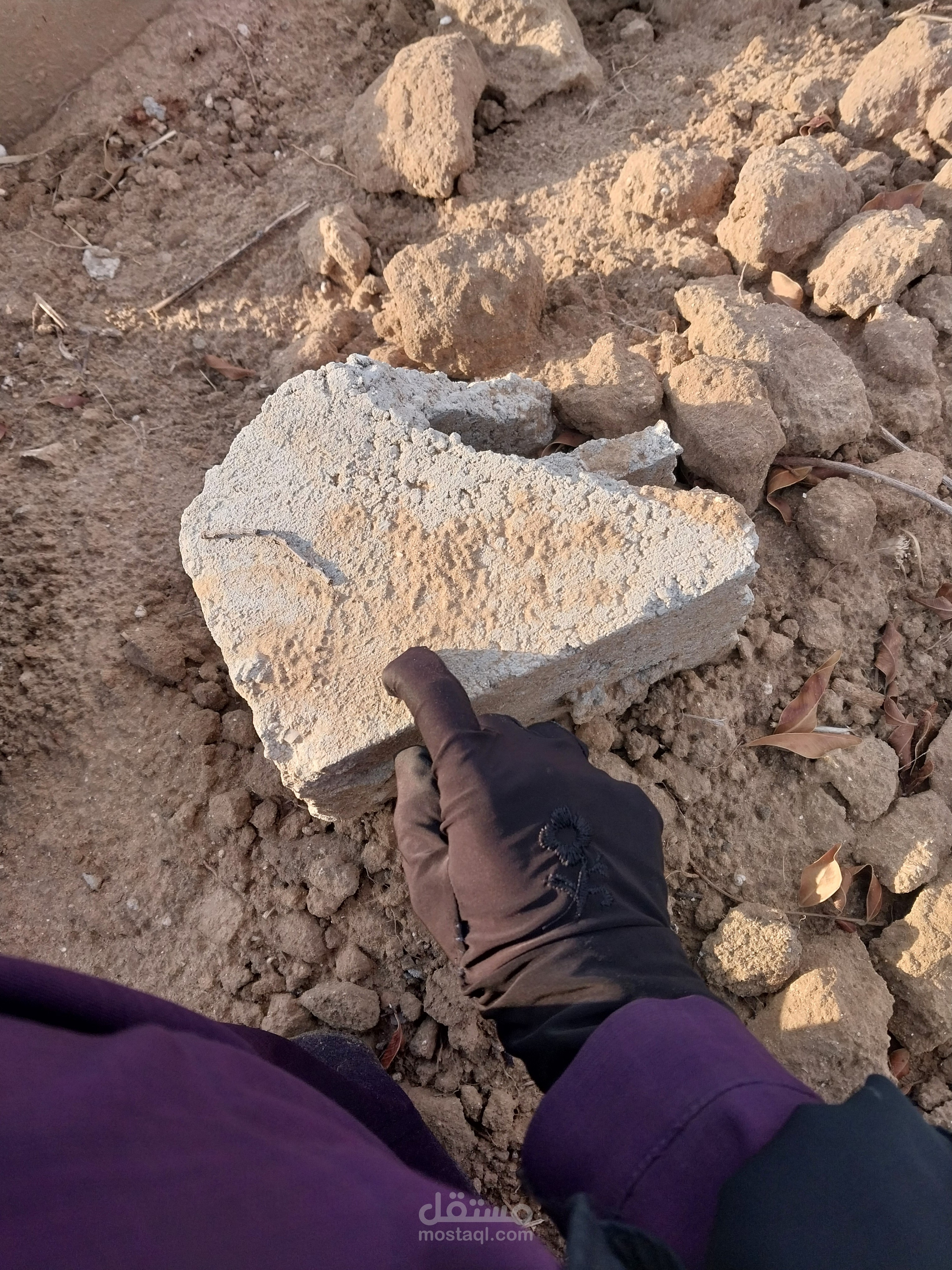 مونتاج فيديو قصير