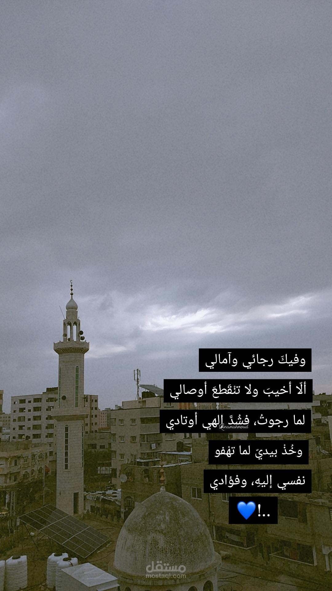 تصاميم، وكتابات مؤلفة