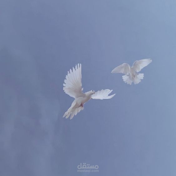 علاقتك بالله