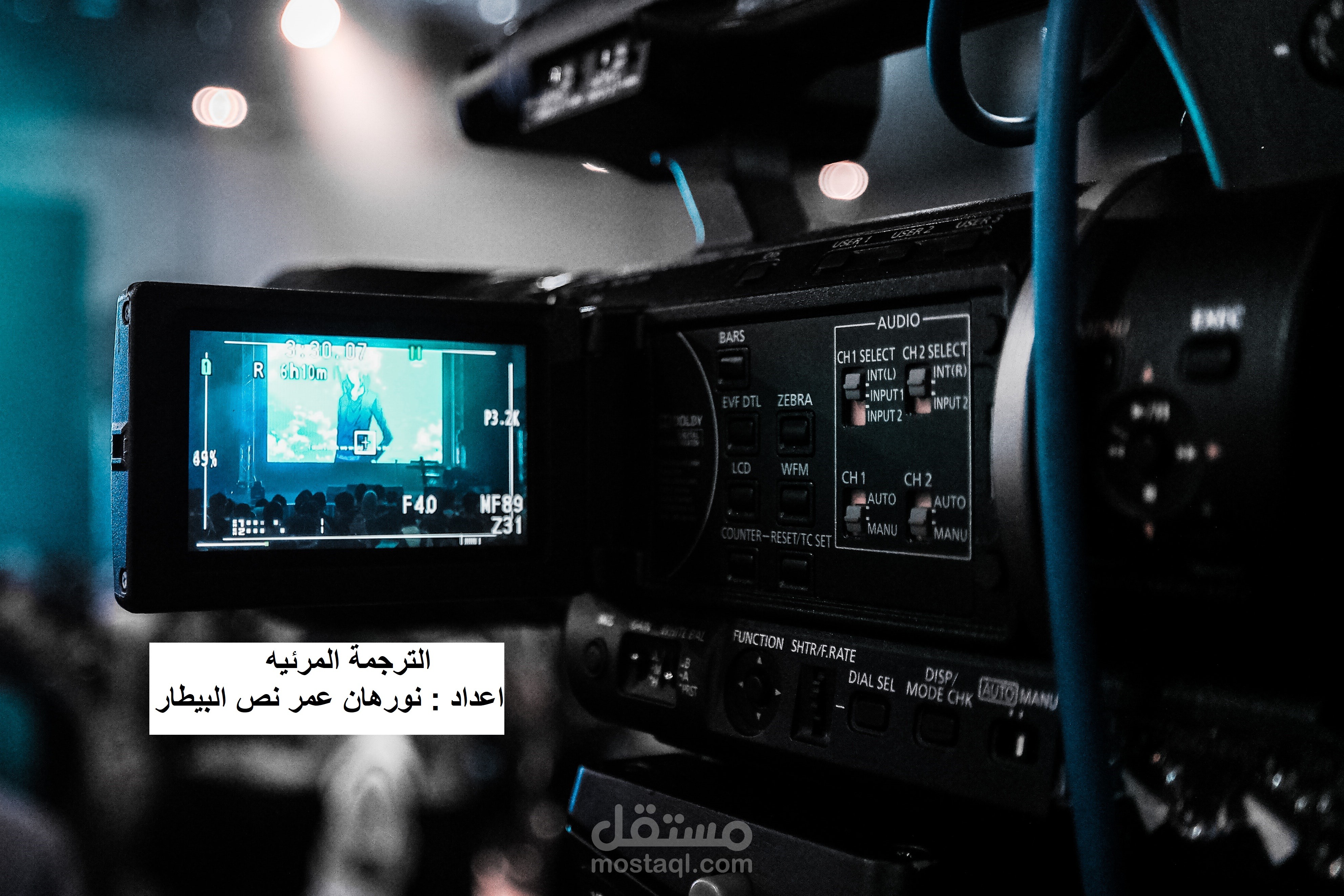 الترجمة المرئية على الفيديوهات Subtitling
