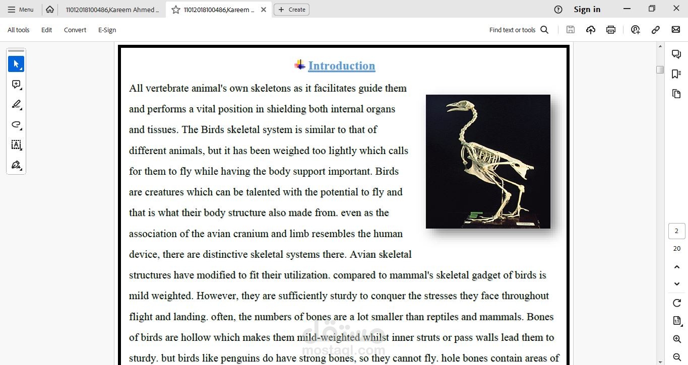 Adaptive Structure of The Skeleton in Bi rds