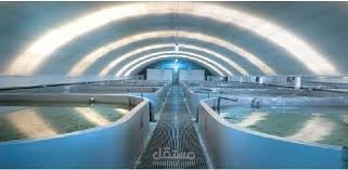 بحث عن الاستزراع-السمكي