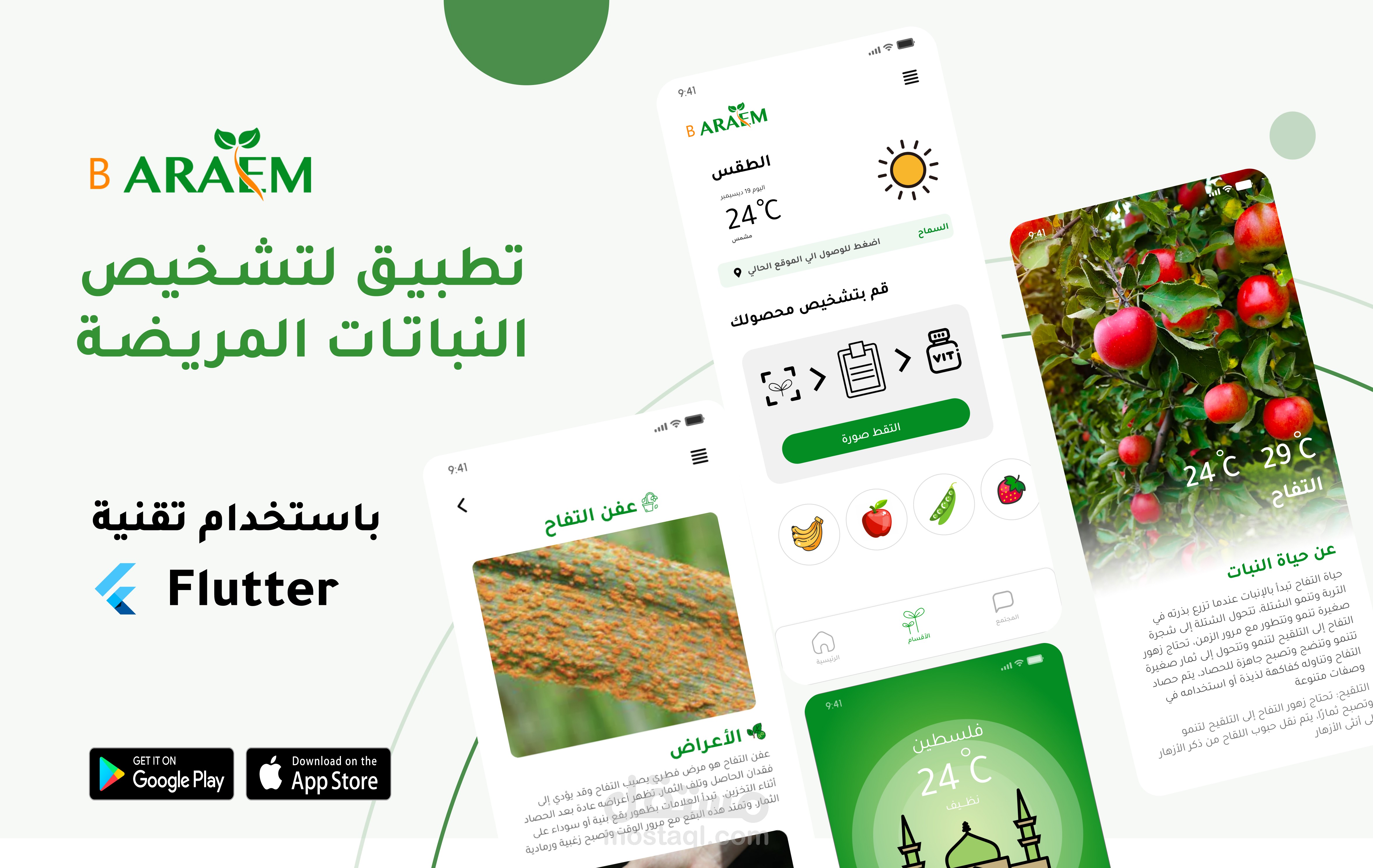 Braraem" App for Plant Disease Diagnosis"