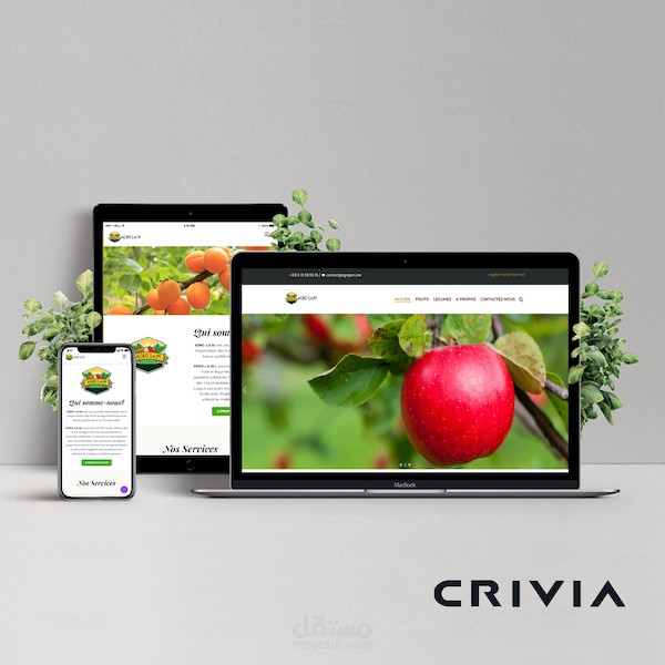 Site Web LE 20 MARS
