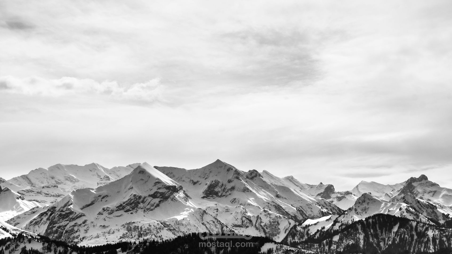 Leon Website_موقع ليون