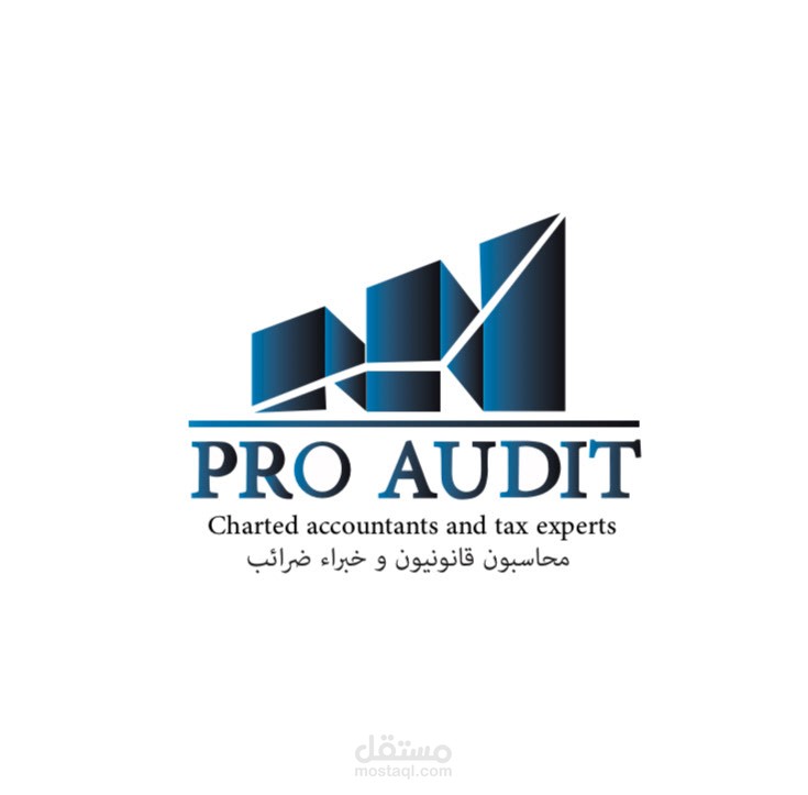 pro audit للمراجعه و المحاسبه