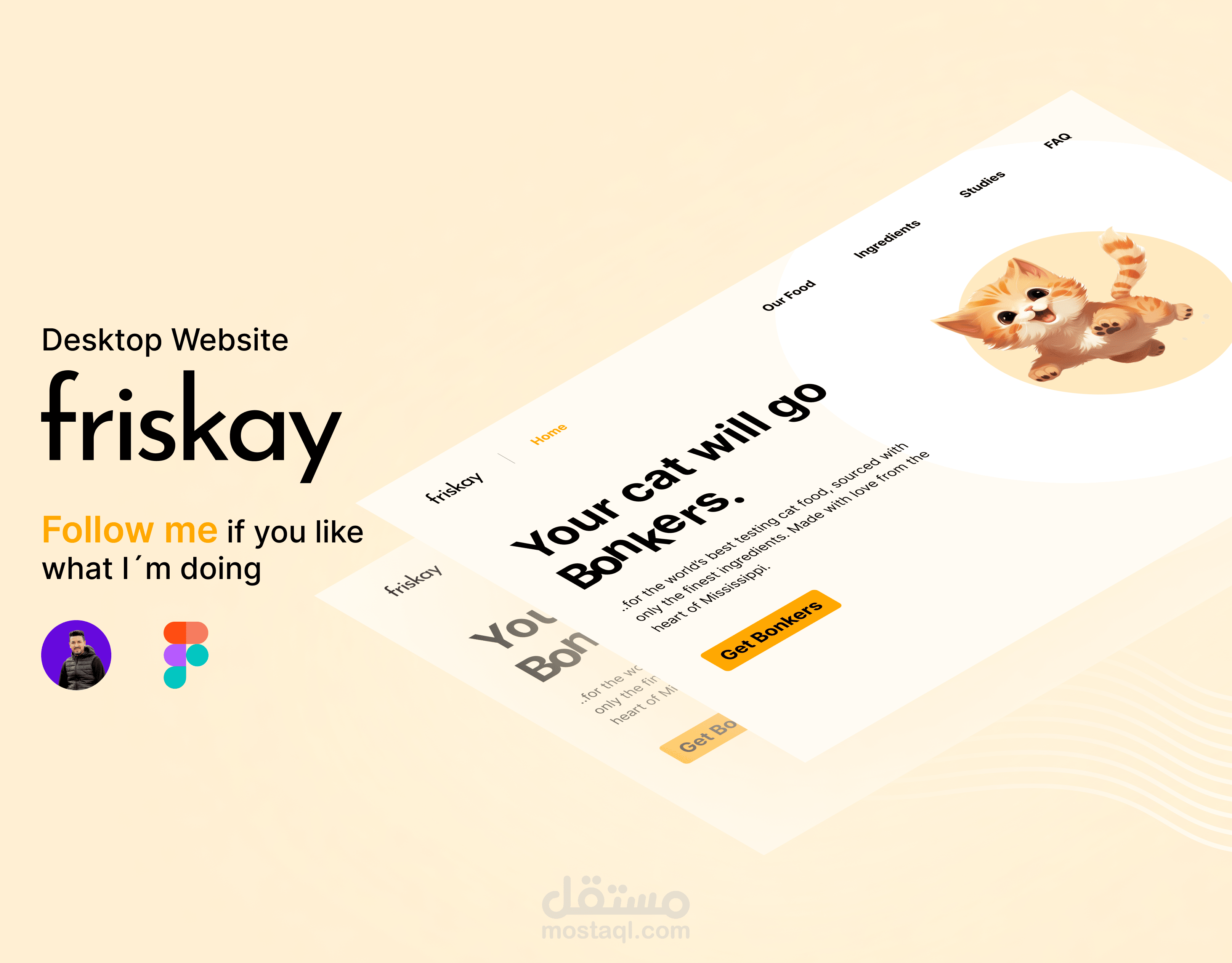 تصميم صفحة هبوط لموقع friskay