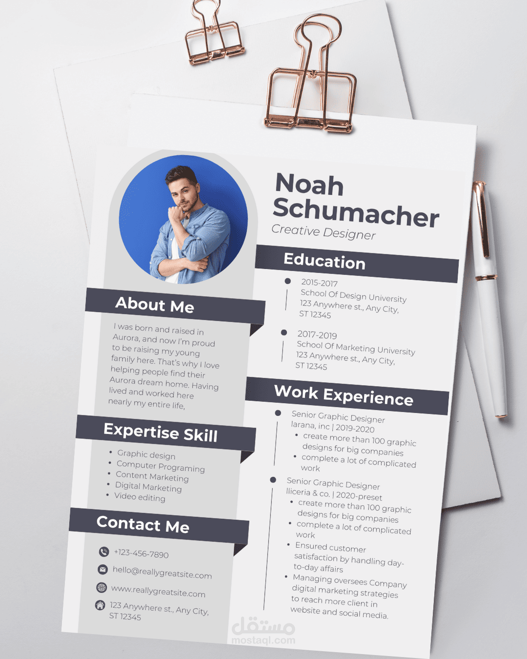 Professional Cv design