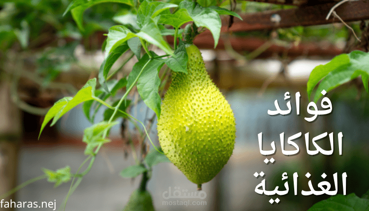 مقال عن: فوائد الكاكايا الغذائية