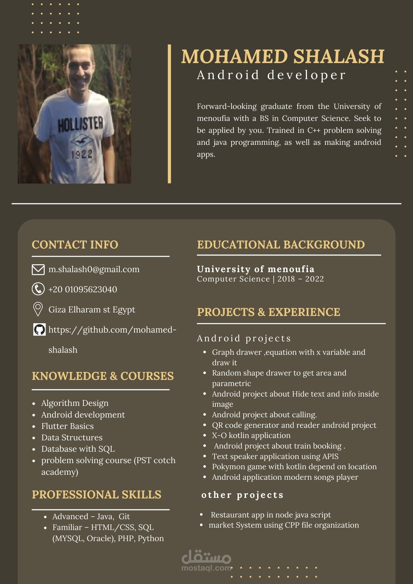 تصميم cv احترافي