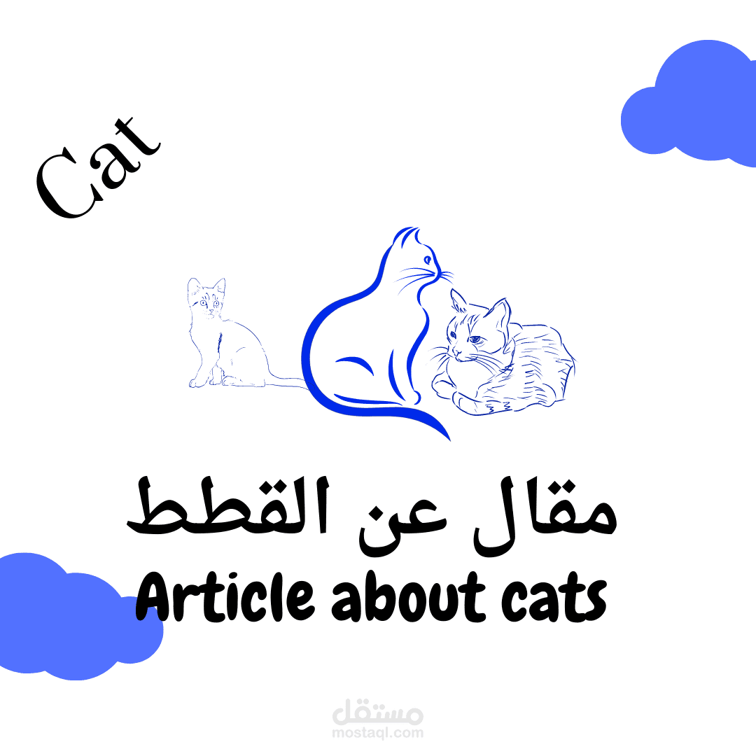 مقال عن القطط