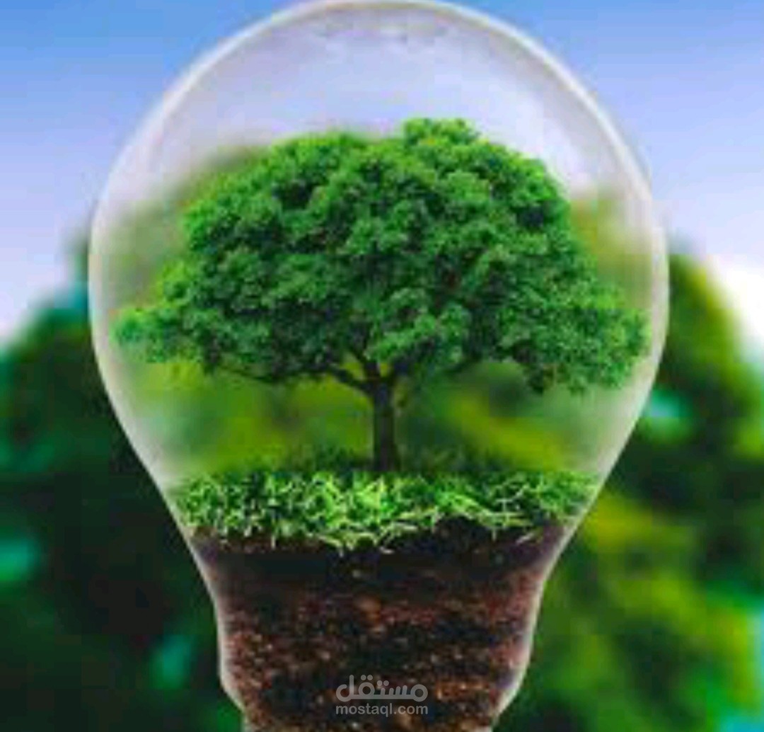 كتابة محتوى زراعي