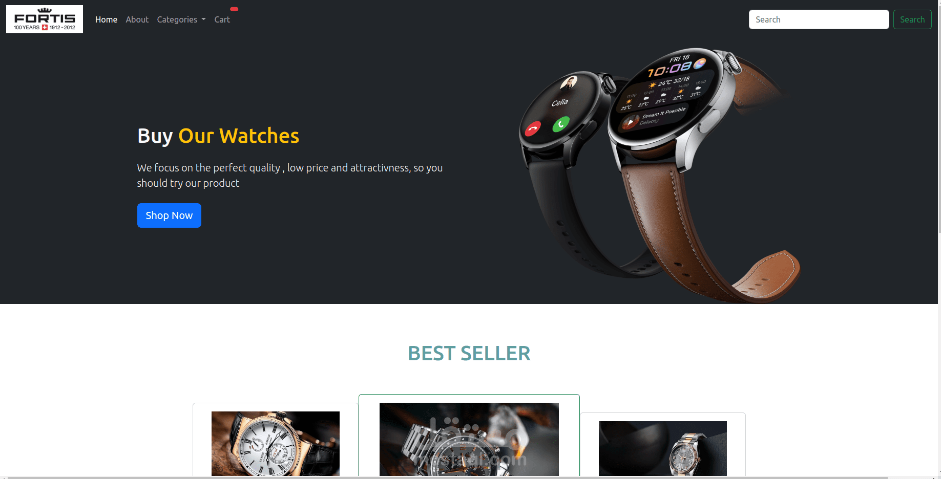 frontend development