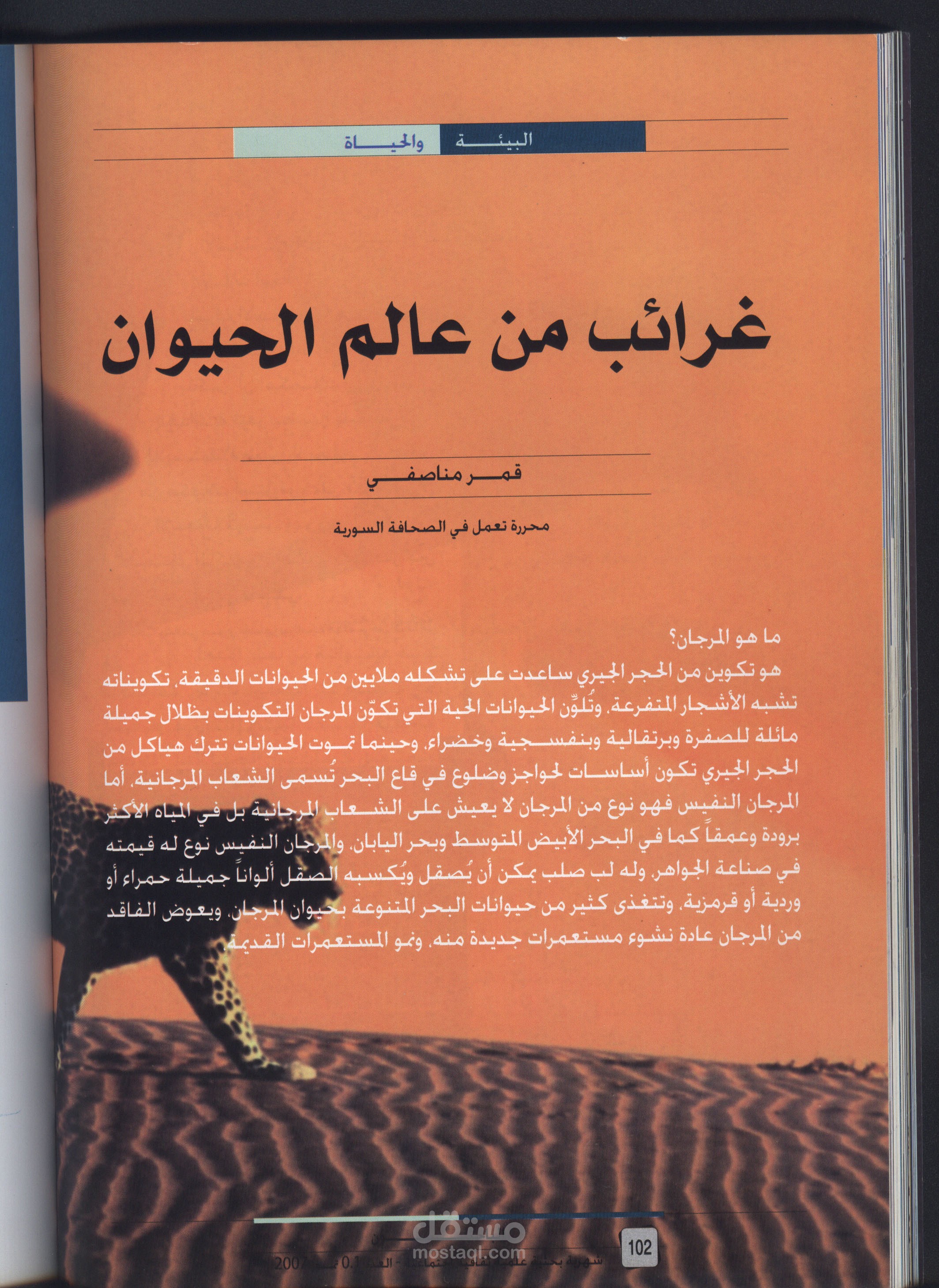 كتابة المقالات وطباعتها على محرر النصوص وورد