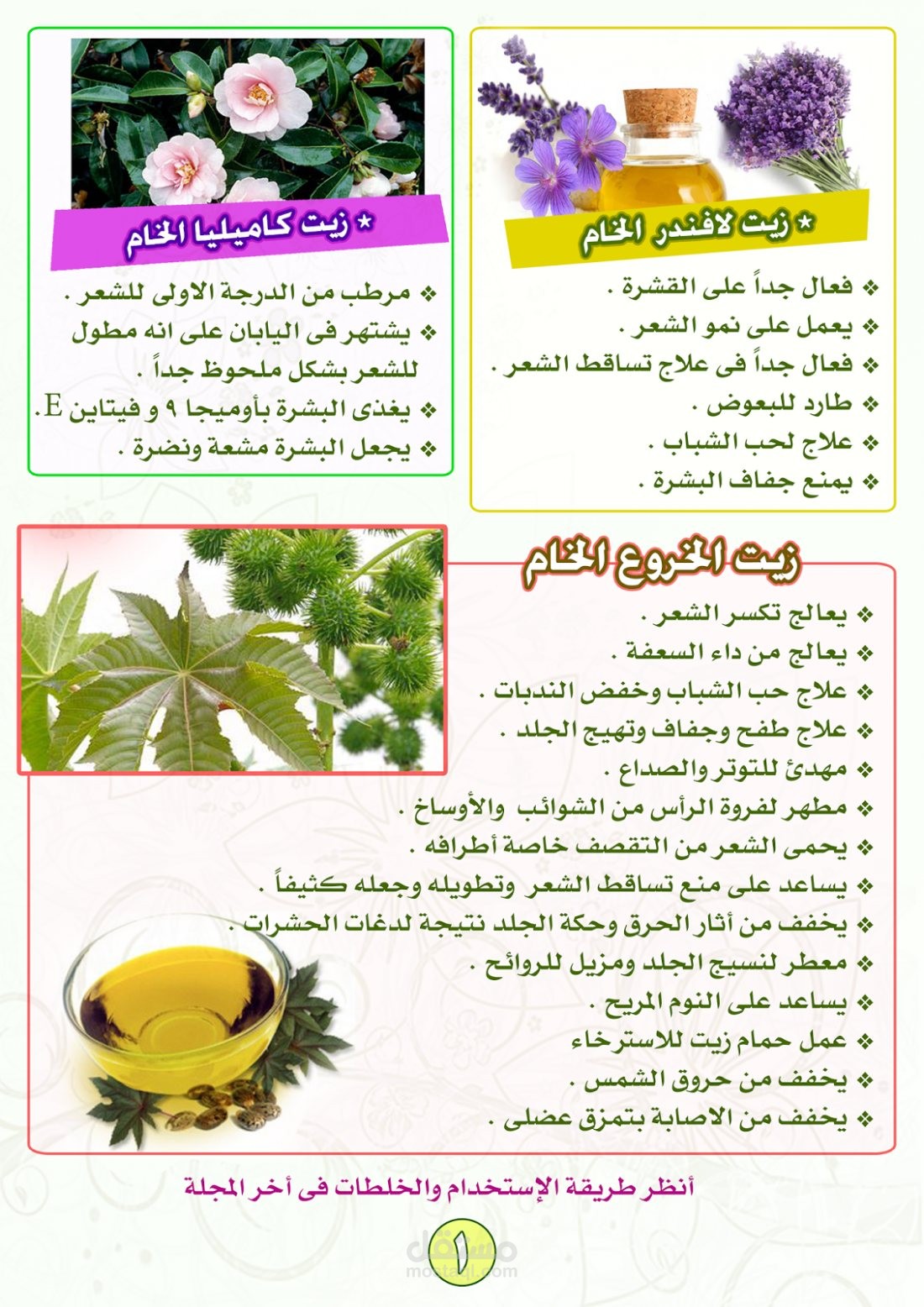 مجلة لحن الطبيعة