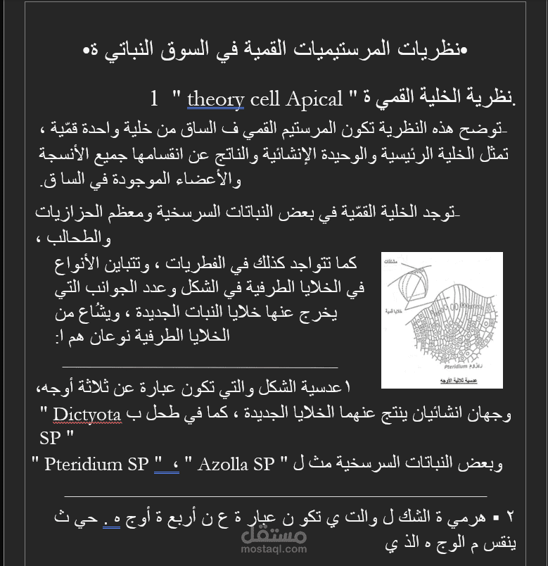 تحويل ملف word الي  pdf