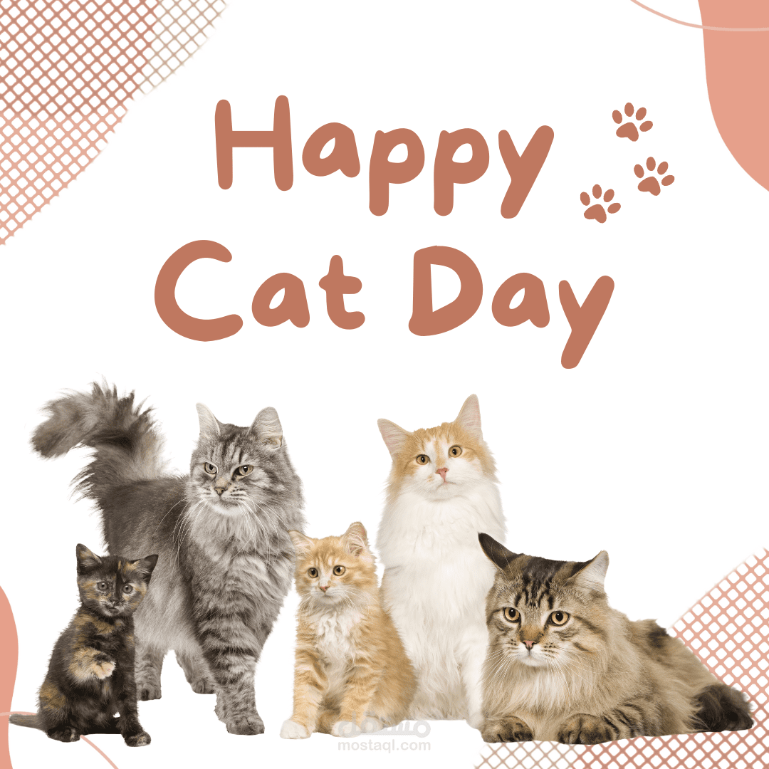 تصميم إعلان سوشيال ميديا