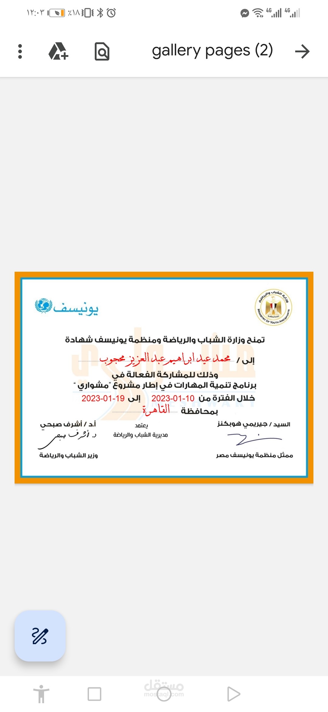 حصلت على شهادة مهارات مهنية