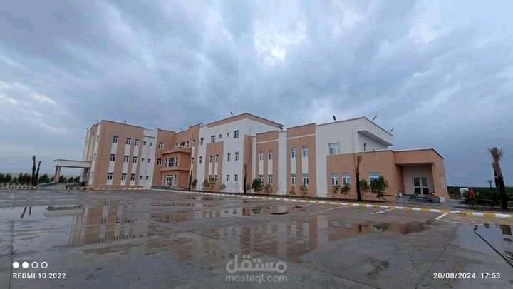 اليمن