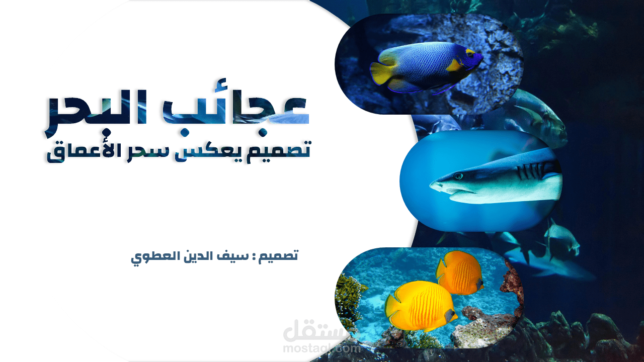 عرض تقديمي بعنوان "عجائب البحر تصميم يعكس سحر الاعماق"