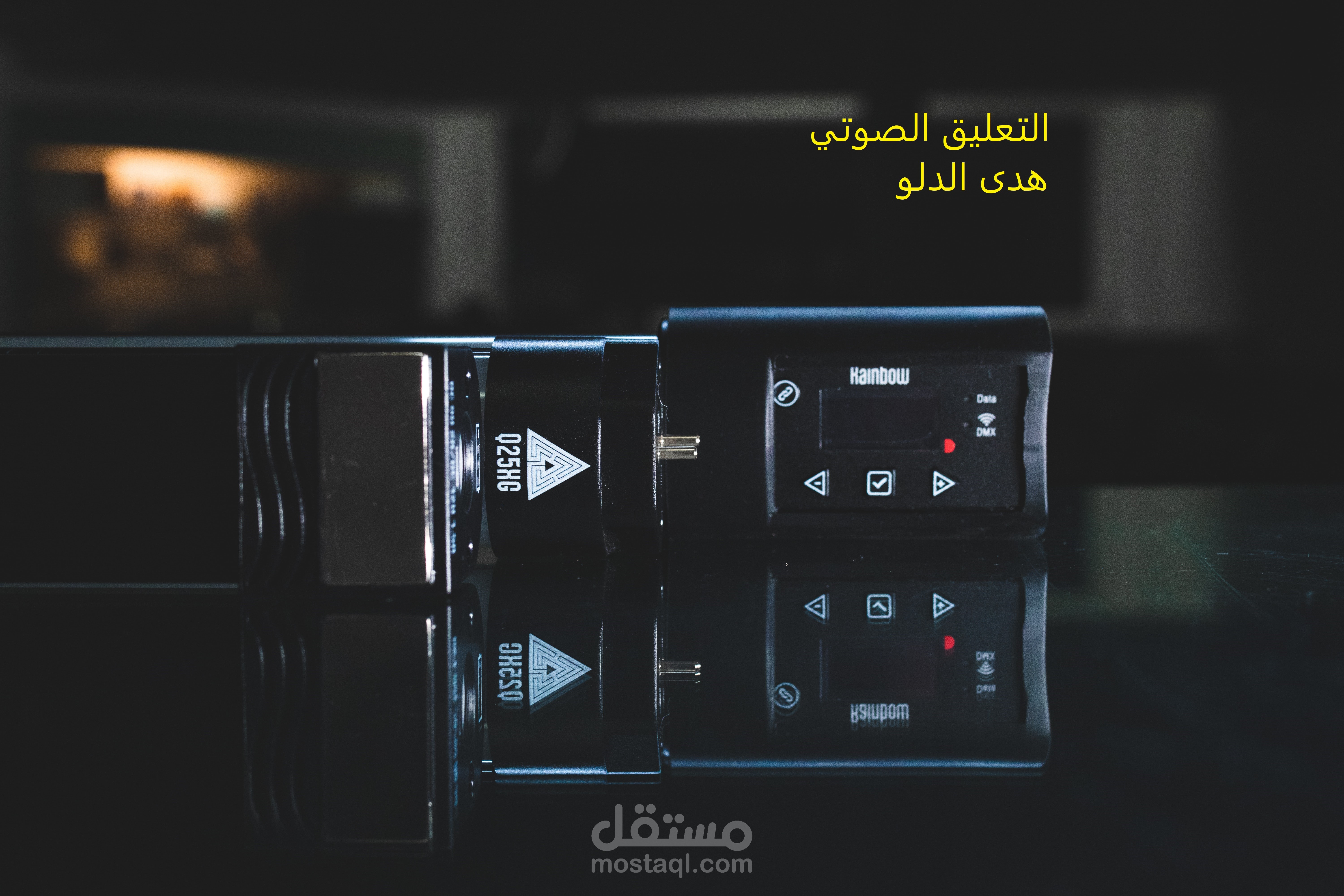 التعليق الصوتي