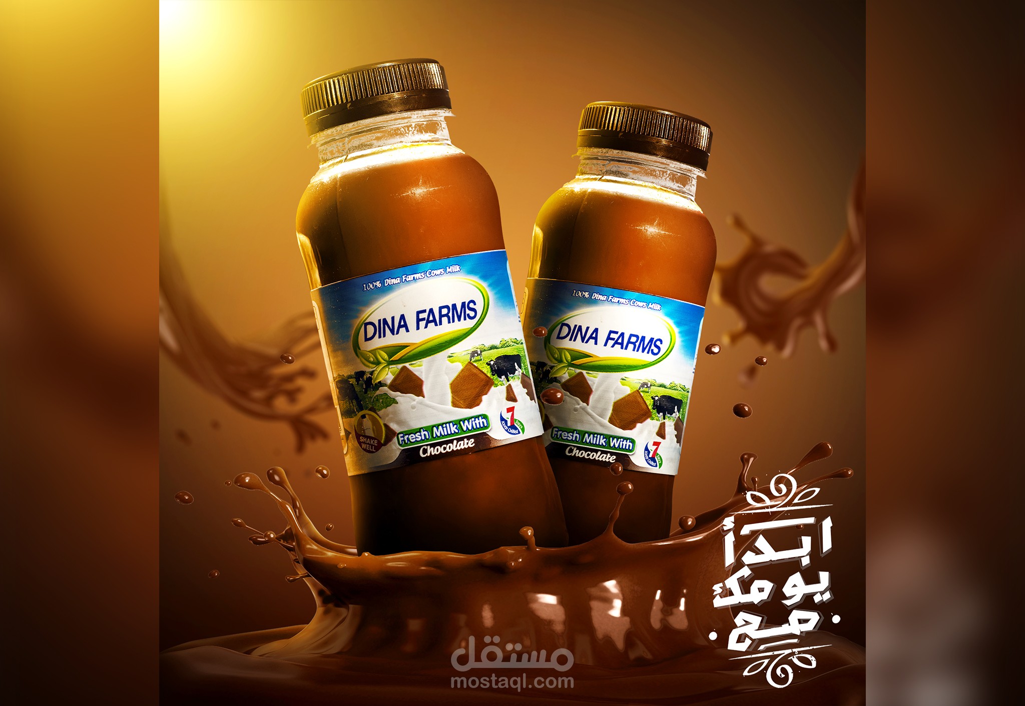 تصميم اعلان سوشيال ميديا لشركه Dina Farms
