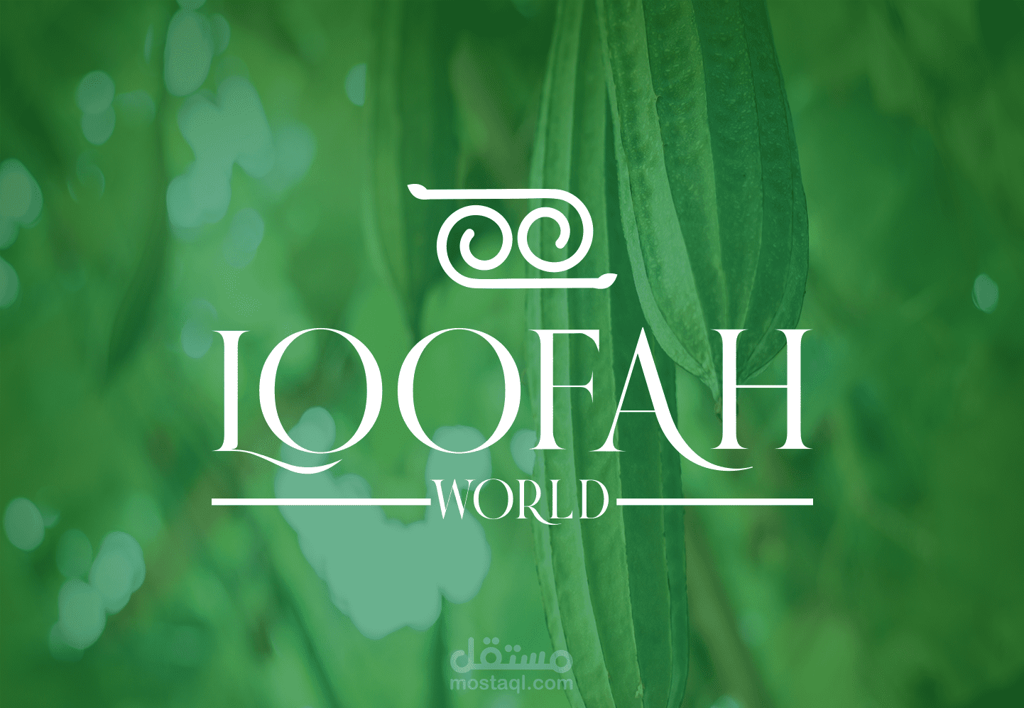 تصميم هوية بصرية لشركة loofah world