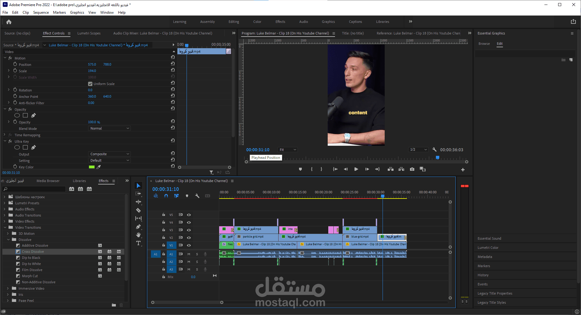 فديو ريلز