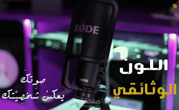 تعليق صوتي /السُّفنُ البولَندية في دانسك | ناشونال جيوغرافيك أبوظبي