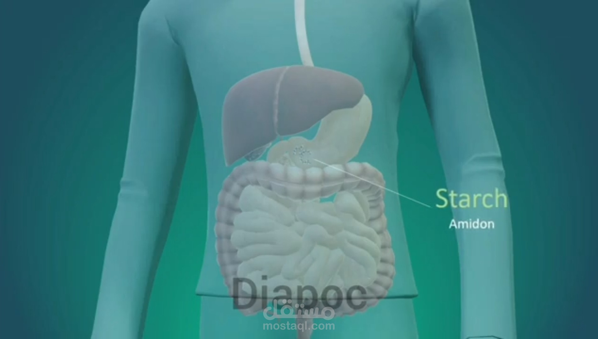 فيديو 2d-3d عن براءة اختراع فازت في مسابقة جنيف