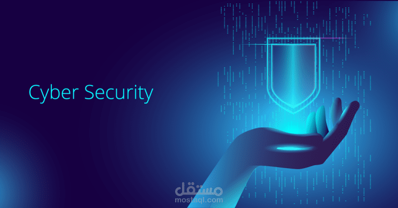 إختبار إختراق الويب