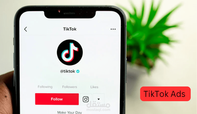 tiktok ads