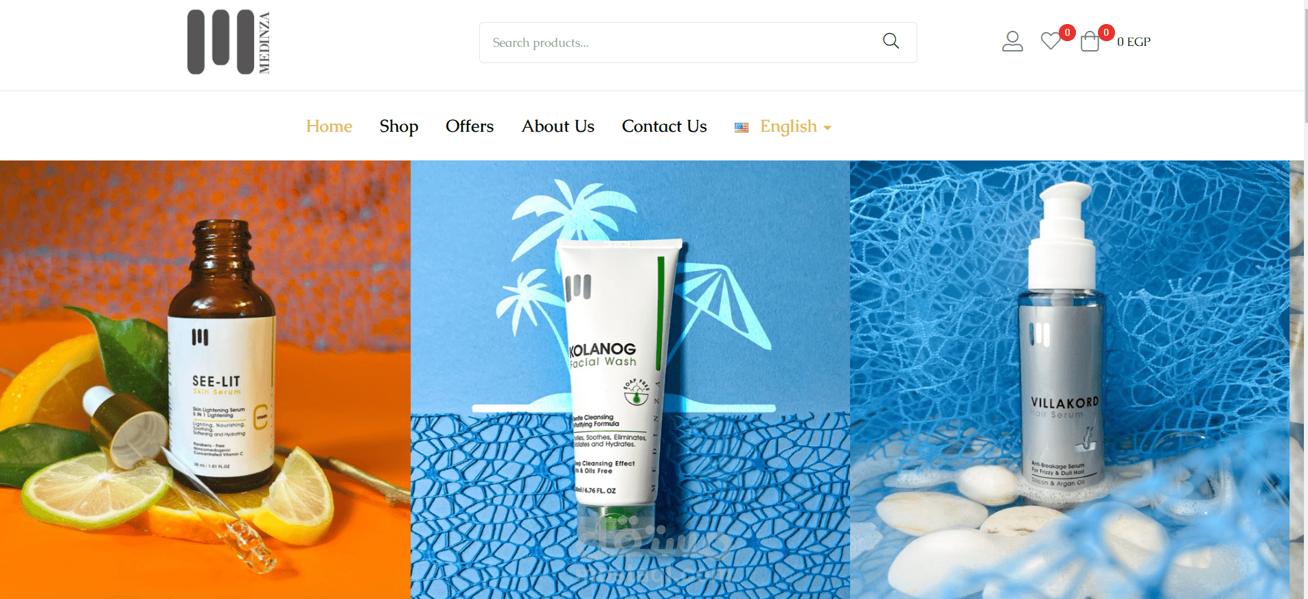 website medinza