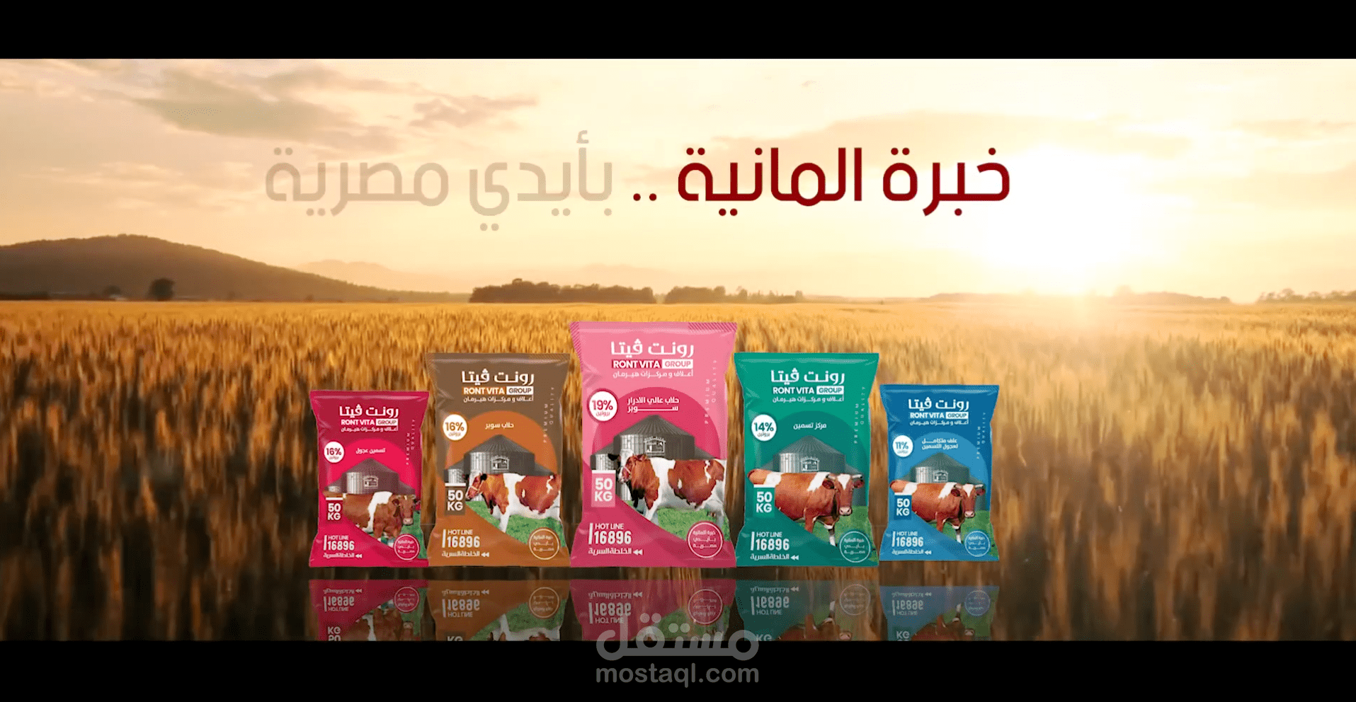 وثائقي - اعلاف هيرمان - الذرة الصفراء