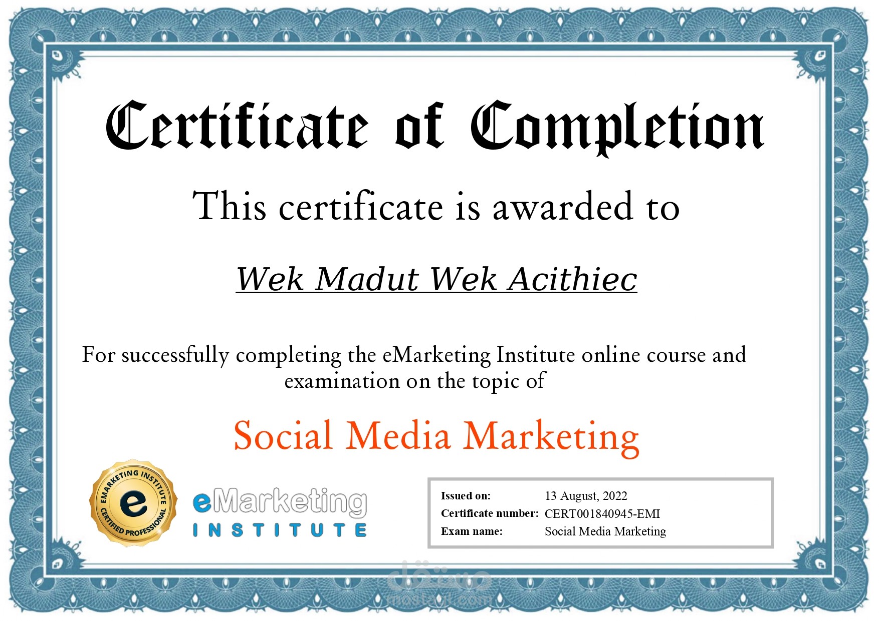 شهادة social media marketing