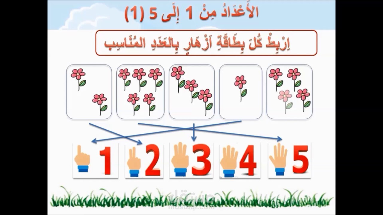 صياغة المناهج التعليمية والمقررات الدراسية إلى حدود الصف السادس إبتدائي