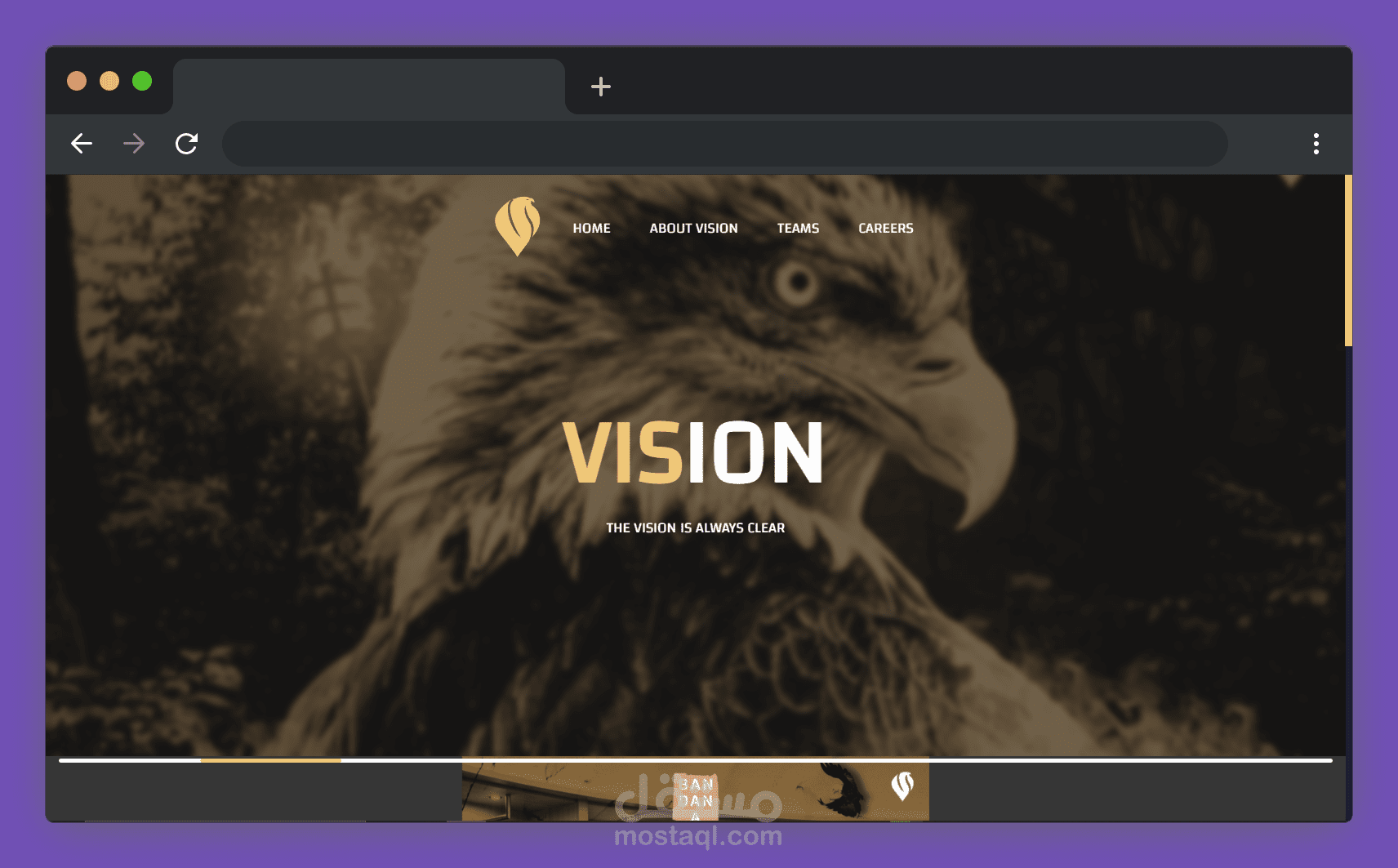 Vision (e-sports team) website