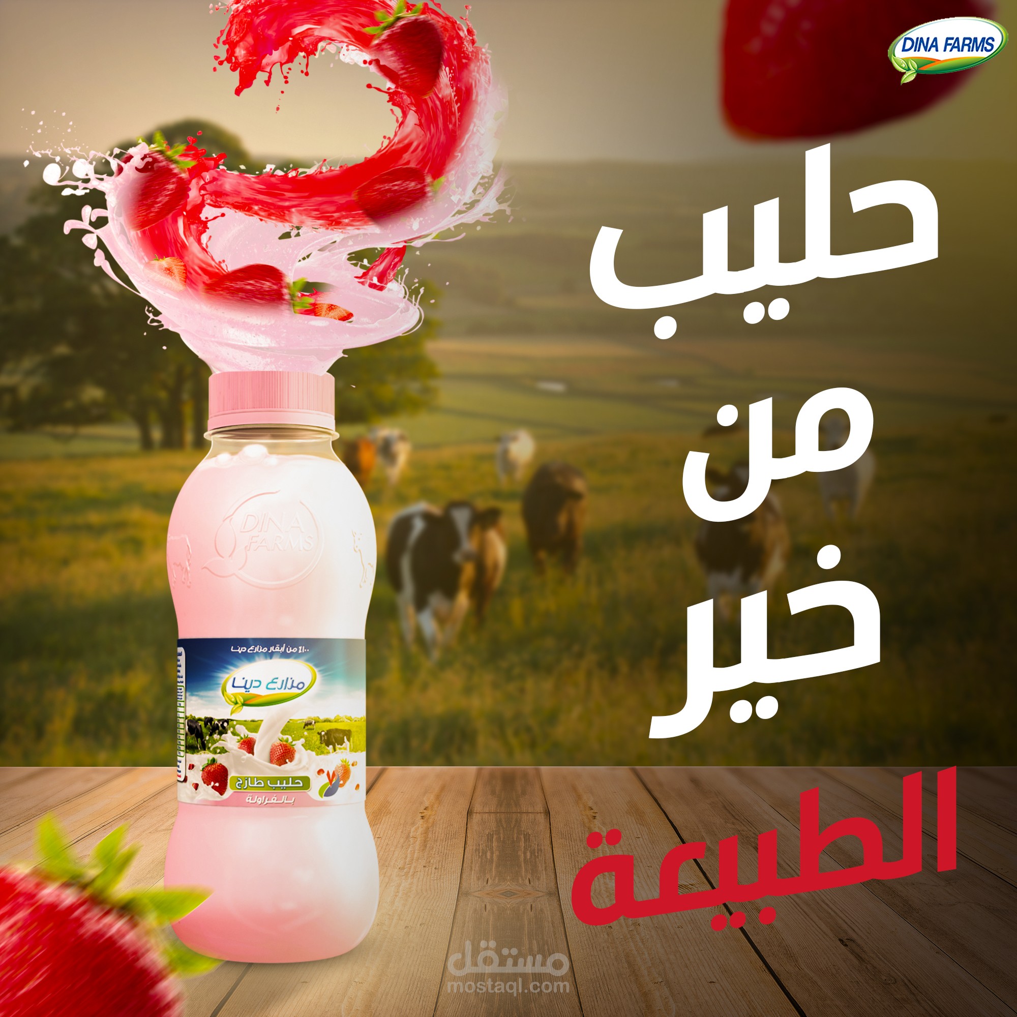 بوستات سوشيال ميديا