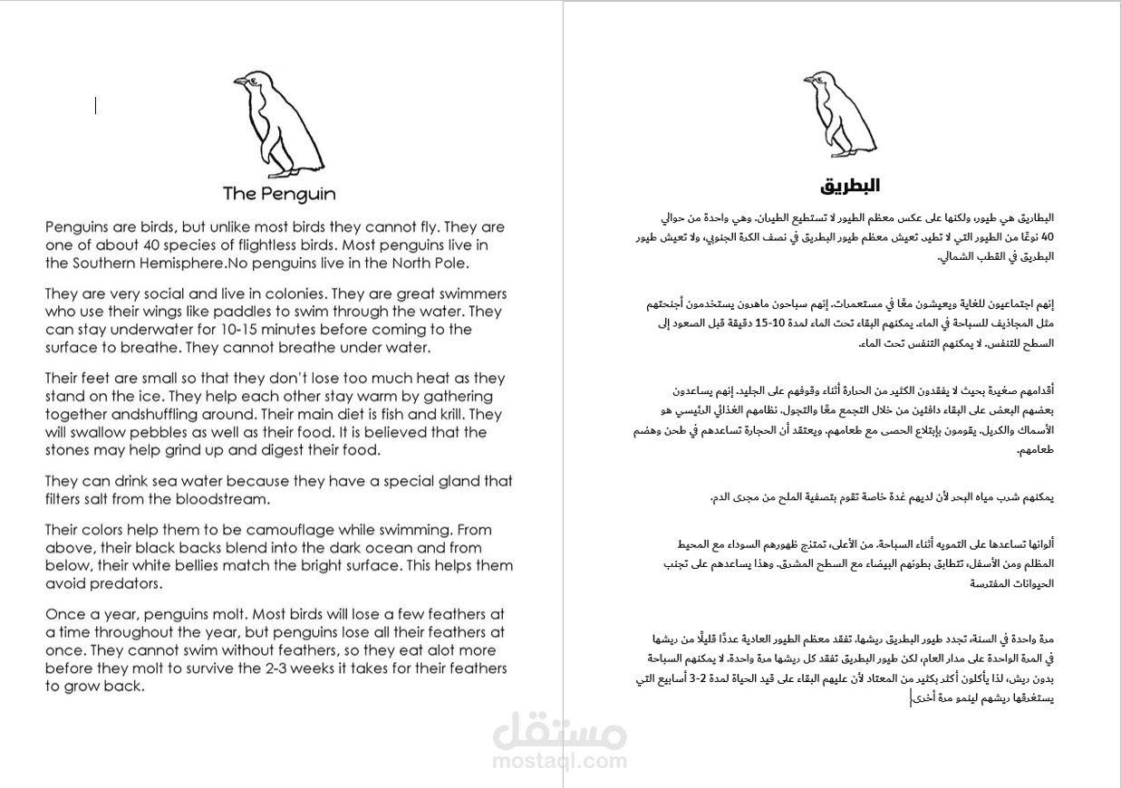 ترجمة صفحة تعريفية لطائر البطريق
