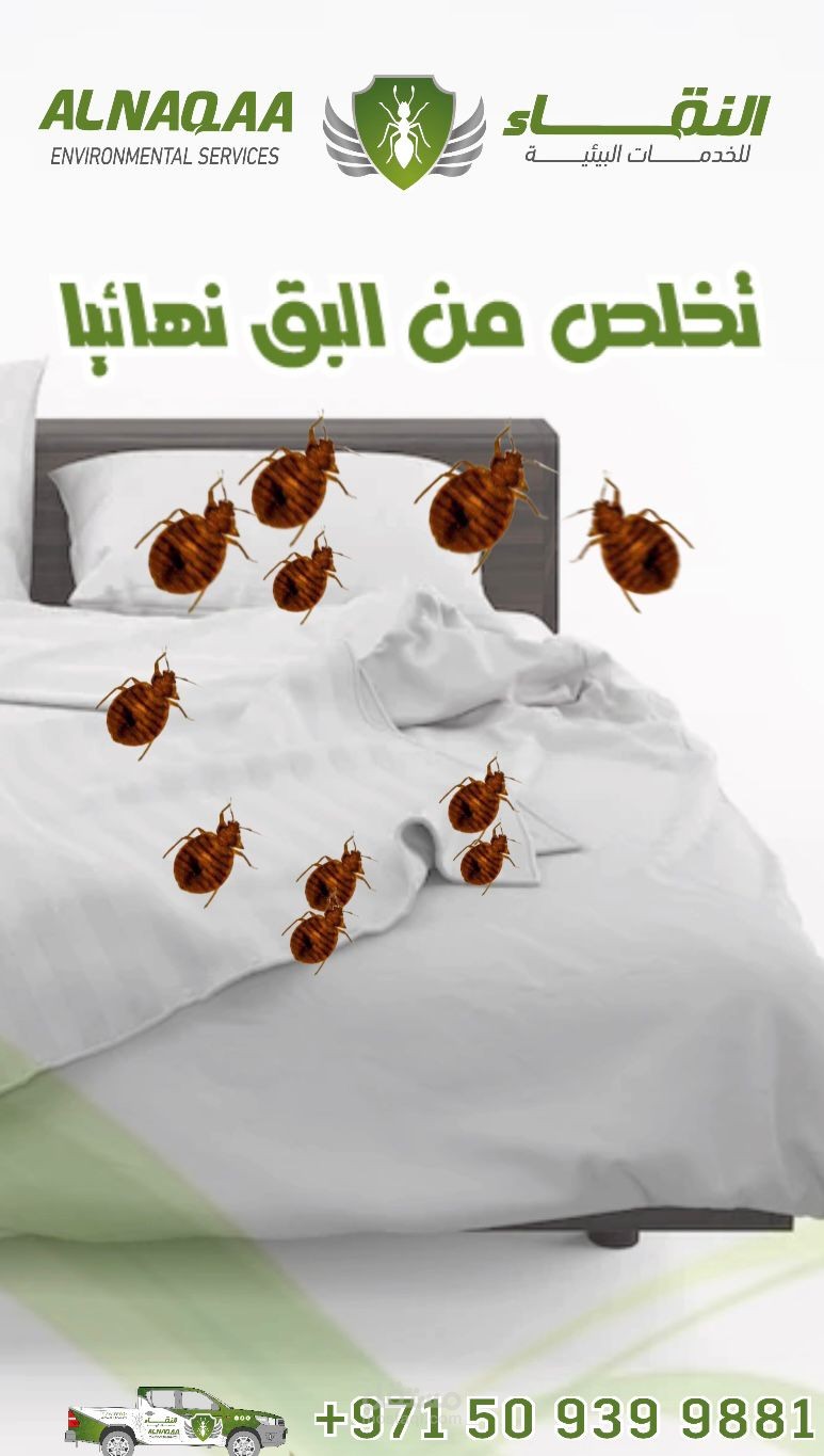 gif لشركه مكافحه حشرات