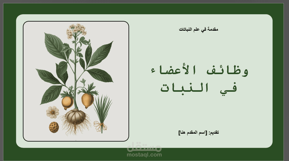 presentation للشرح ل طلبه جامعيين