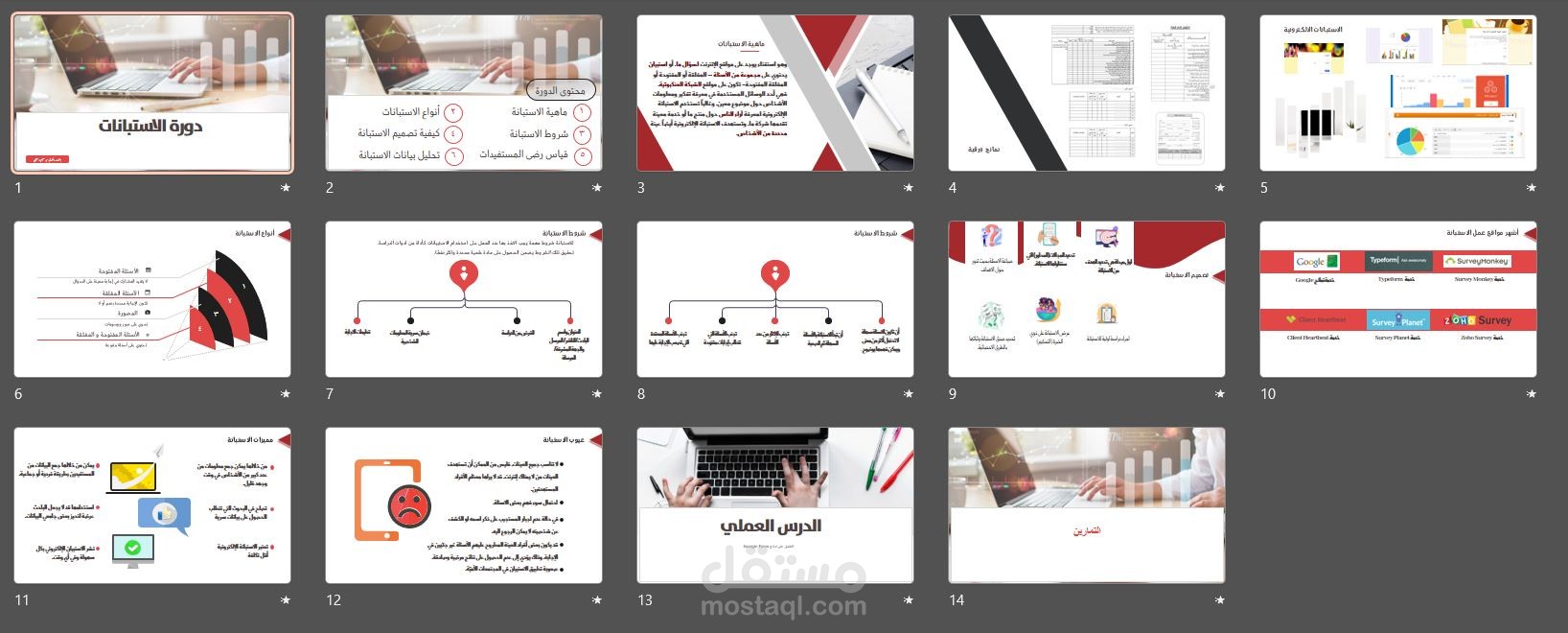 دورة عمل استبانة
