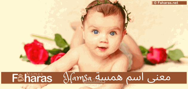 معنى اسم همسة؛ دلع Hamsa وحكم تسميته و تفسير اللقب في قاموس المعاني