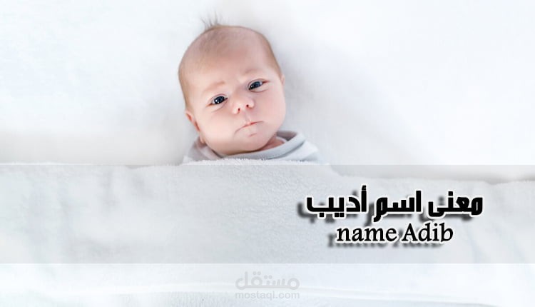 معنى اسم أديب؛ معناه في اللغة العربية وأبرز صفاته ودلعه