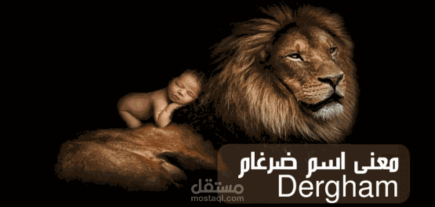 معنى اسم ضرغام؛ حكم التسمية وأبرز الشخصيات التي حملت لقب Dergham