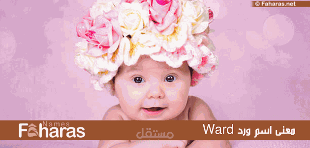 معنى اسم ورد؛ معناه في القرآن الكريم وأجمل صفات حامل اللقب