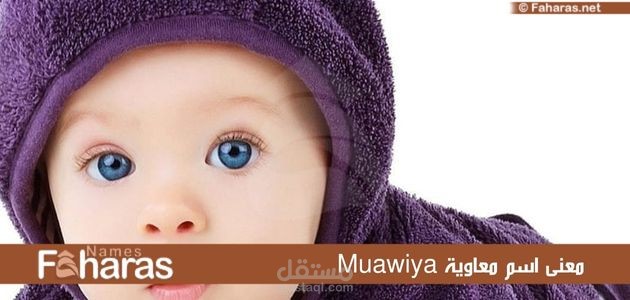 معنى اسم معاوية؛ وما لا تعرفه عنه وأسرار شخصيته وحكم تسميته في الإسلام