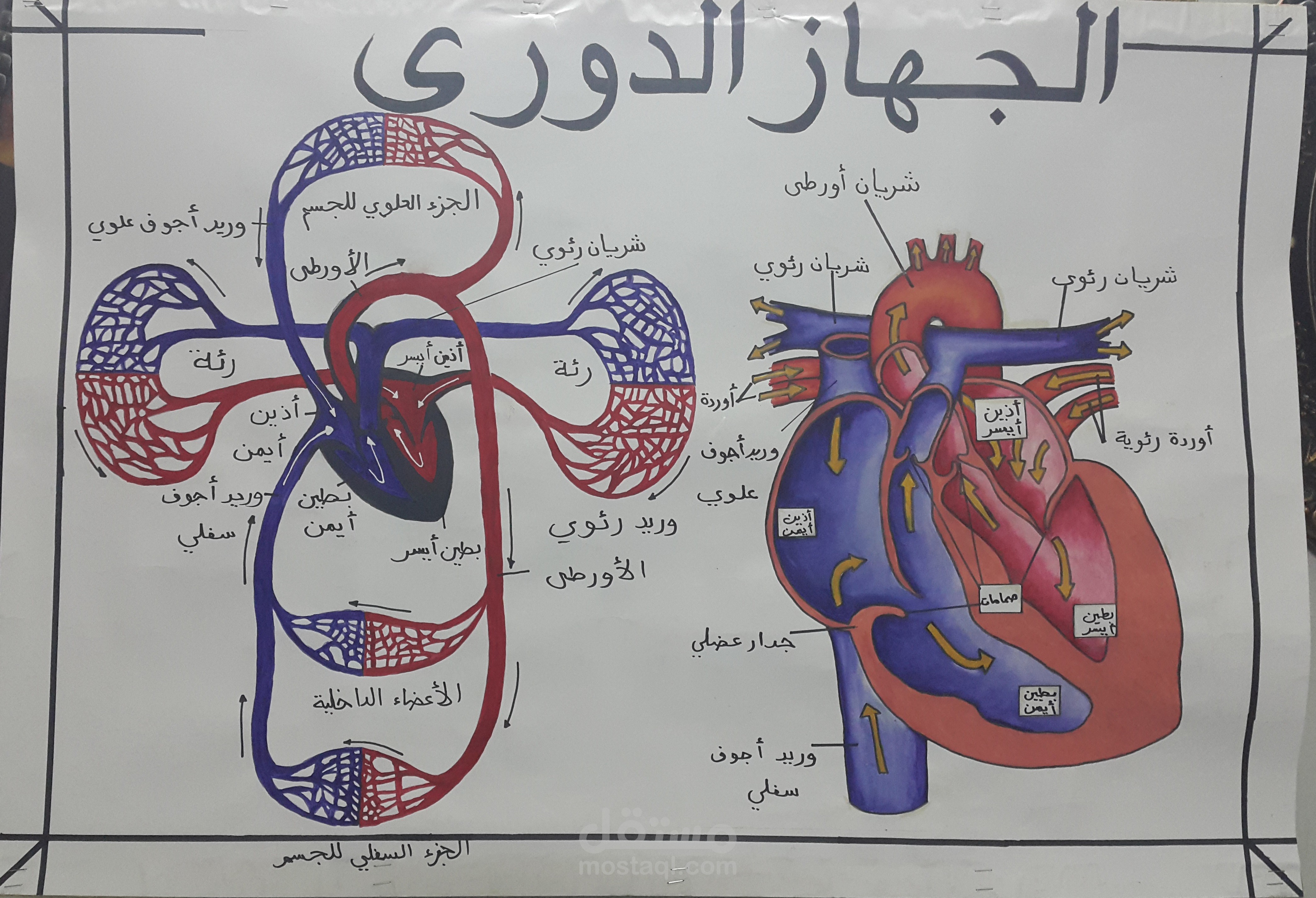 عمل الوسائل العلمية التوضيحية للمدرسين والطلاب