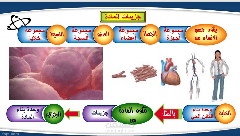 عمل العروض التقديمية