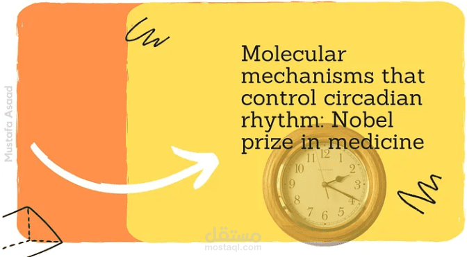 Molecular Mechanisms That Control Circadian Rhythm